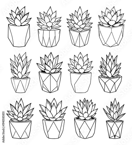 Minimalist Black and White Line Art Illustration of a Succulent Plant in a Modern Geometric Pot, Perfect for Nature-Inspired Home Decor and Clean Branding Projects