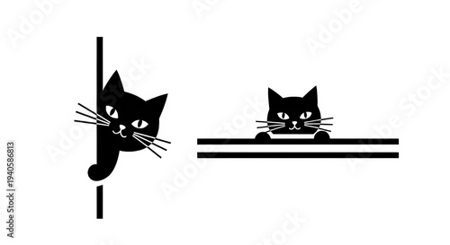 Isolated cat face on transparent background white feline features visible