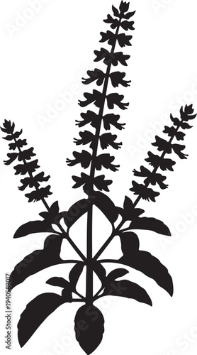 A single silhouette of a basil plant with flower spikes on a white background