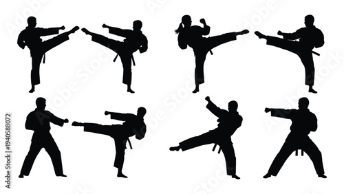 Martial arts silhouettes in various kicking and punching stances