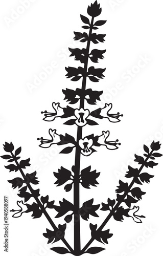 A single silhouette of a basil plant with flower spikes on a white background