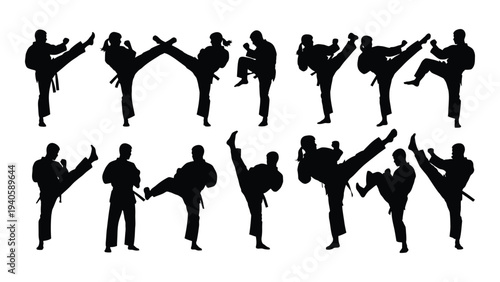 Martial arts silhouettes in various kicking and punching stances