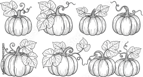 Black hand drawn pussy willow branch sketch set isolated on white background for spring seasonal nature and botanical floral design