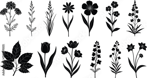 Collection of diverse happy children characters animal silhouettes botanical flowers and birthday party elements cad drawing flat vector illustration set