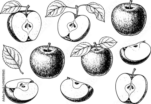 Hand Drawn Apple Collection Whole Halved Sliced And Leaves Black And White fruit