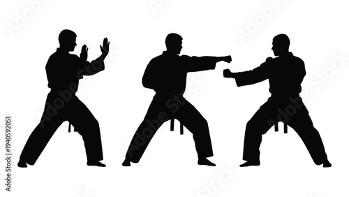 Martial arts silhouettes performing different stances
