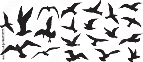 Silhouette Serenade: A symphony of seabird silhouettes gracefully soaring across the expansive sky. Capturing a sense of freedom and movement.