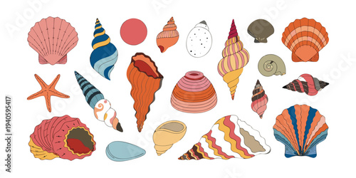 Colorful Assortment of Seashells and Starfish, Isolated on White