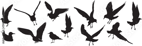 Flight of the Seabirds: A flock of seagulls in dynamic flight, silhouetted against the open sky, capturing the freedom of movement and graceful elegance of seabirds.