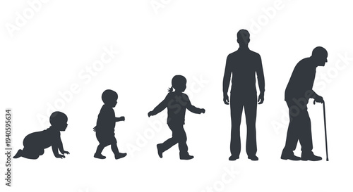 A silhouette illustration depicts the human life cycle showcasing stages from infancy to old age with four distinct figures