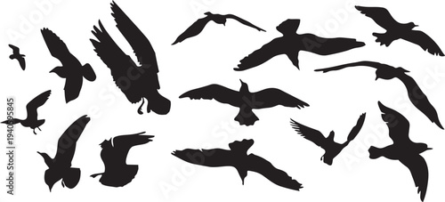 Soaring Silhouette: A captivating silhouette captures the essence of seagulls in flight, gracefully navigating the open sky. The image offers a minimalist perspective.