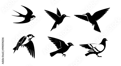 A collection of six silhouetted birds in various flight poses and perching