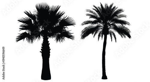 Silhouetted depictions of two distinct palm trees against a stark white background evoke a tropical and serene atmosphere