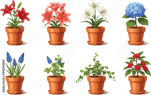 Potted flowers and plants collection lilies hydrangea hyacinth ivy decorative houseplants vector illustration set