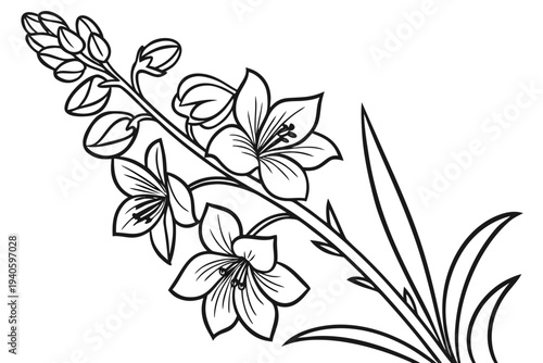coloring page line art the delphinium flower black vector