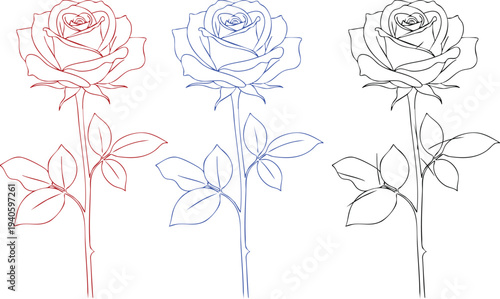 Three Outline Roses In Red Blue And Black flower drawing