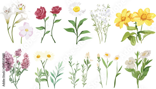 Colorful tulip bouquet with green leaves in spring bloom