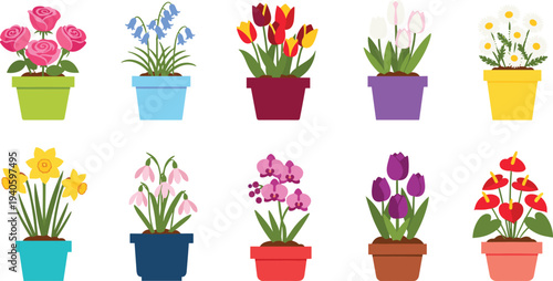 Colorful potted flowers collection tulips roses orchids daffodils decorative plants vector illustration set
