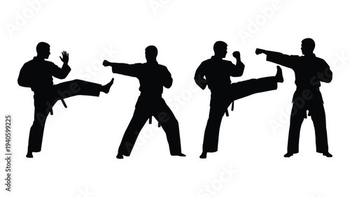 Four martial arts practitioners in different stances