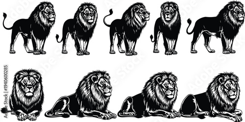 Lion silhouette collection, majestic wild animal king jungle poses standing sitting lying detailed black vector illustration set