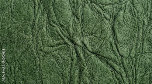 Tableau sur toile Green Wrinkled Nopal Cactus Vegan Leather Texture Background