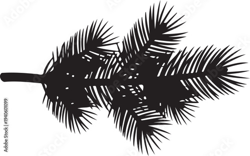 Silhouette of pine tree branch with needles isolated on transparent background