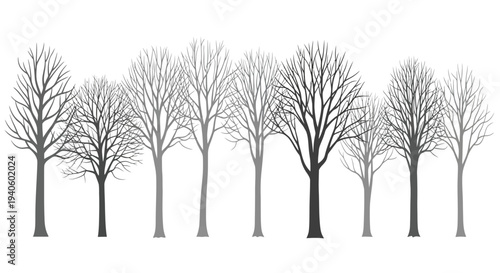 A minimalist black and white illustration showcases a dense grouping of bare trees against a clean white background