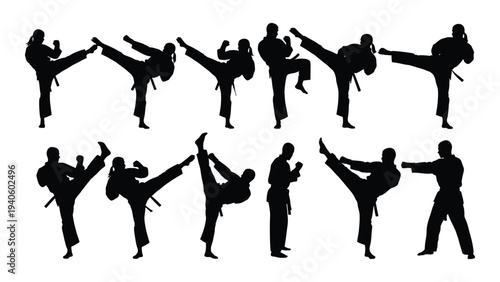 Martial arts silhouettes in various kicking and punching stances