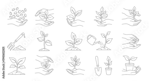 A series of line drawings illustrate the stages of plant growth from seed to sprout and hands nurturing them