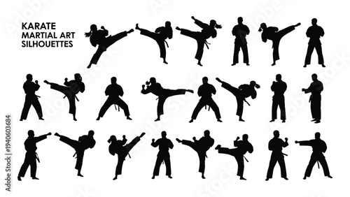 Various karate stances and movements in black silhouettes