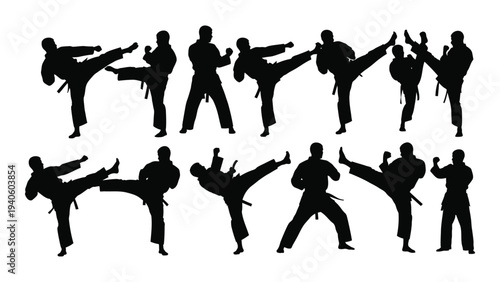 Martial arts silhouettes of people performing kicks and punches