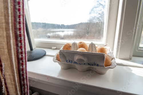 Fresh sprouting potatoes on sunny windowsill