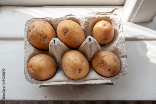 Sprouting potatoes on window ledge