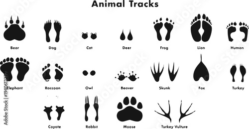 Animal Paw and Footprint Tracks in Silhouette Style. Black Wildlife Track Marks for Creative Design.