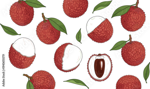 Lychee fruit collection with whole, peeled and sliced lychees illustration isolated on white background for tropical food design, fresh fruit packaging, and nutrition concepts