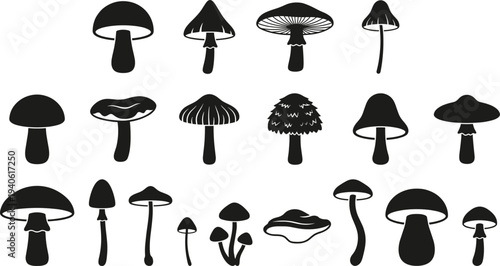 Silhouettes of scientists and laboratory researchers working with microscopes,computers, and medical equipment in a professional clinical lab setting for scientific research development