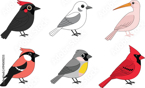 Colorful songbirds collection cardinal bullfinch tit sparrow and other small birds vector illustration set