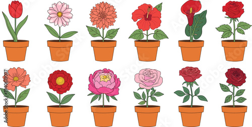 Potted garden flowers collection tulip daisy chrysanthemum hibiscus calla lily rose peony plants vector illustration set