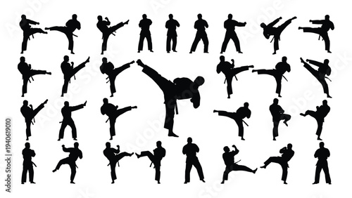 A collection of various karate poses and movements