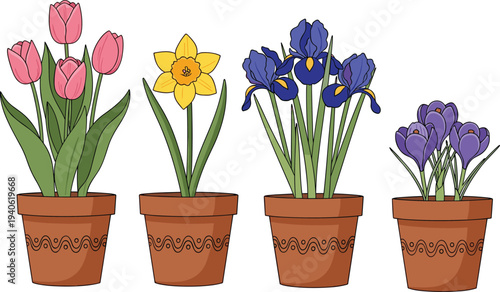 Potted spring flowers collection tulip daffodil iris crocus decorative flower pots vector illustration set