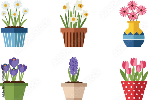 Potted flowers collection daisy narcissus crocus hyacinth tulip decorative flower pots vector illustration set