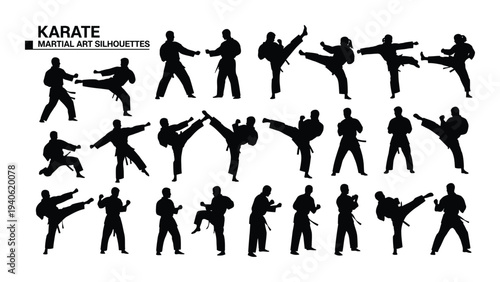 Collection of various karate poses and movements