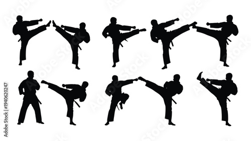 A group of people performing various karate kicks