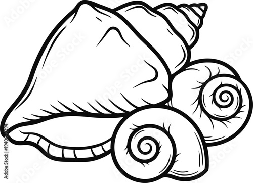 Conch Shell and Snail Shells Illustration
