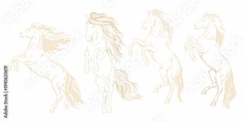 Elegant sketches depict four horses in dynamic and powerful poses