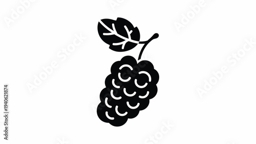 Blackberry icon vector