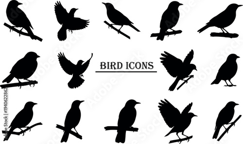 Collection of various bird silhouettes in different poses and orientations
