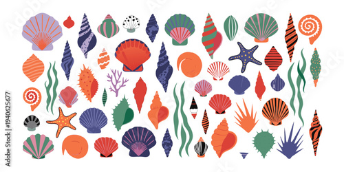 Assortment of colorful seashells, coral, and seaweed illustrations