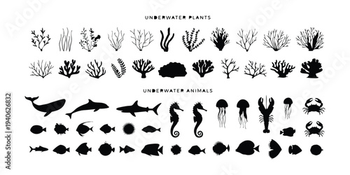 Collection of black silhouette icons of underwater plants and animals