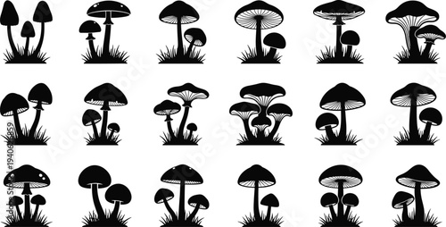 Mushroom Silhouette Collection Featuring Various Wild Forest Fungi and Toadstool Shapes Growing in Grass Isolated Black Icons for Nature Botanical Design